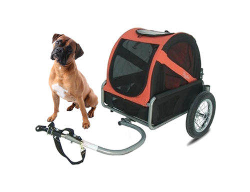 Bike trailer – for dogs